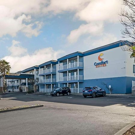 Comfort Suites Red Bluff Near I-5 מראה חיצוני תמונה
